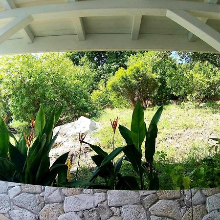Villa Cana Et Son Spa A Terre De Haut Terre-De-Haut Εξωτερικό φωτογραφία