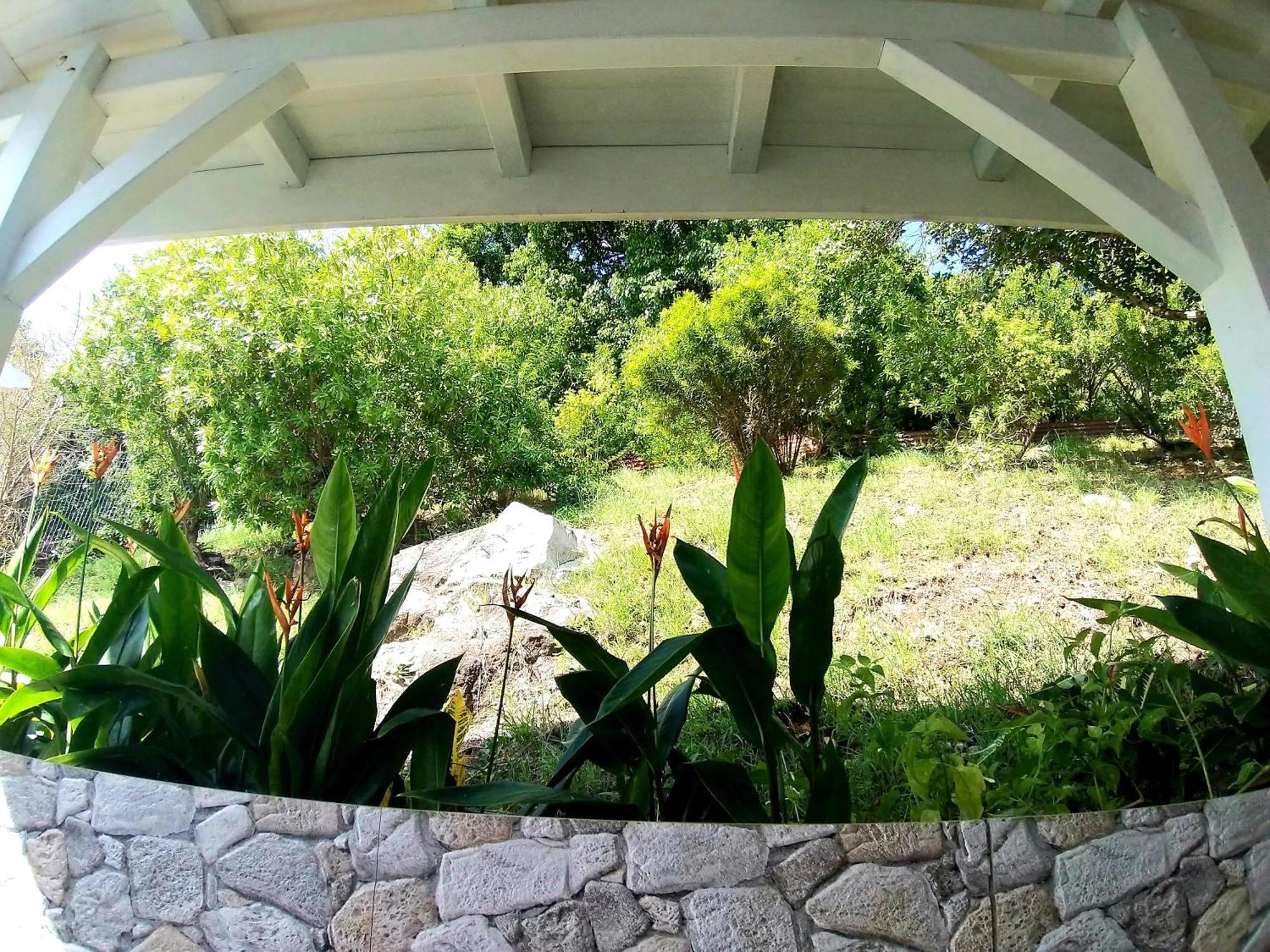 Villa Cana Et Son Spa A Terre De Haut Terre-De-Haut Εξωτερικό φωτογραφία